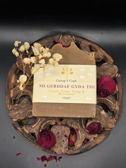 Soap - Mi Gerddaf Gyda Thi
