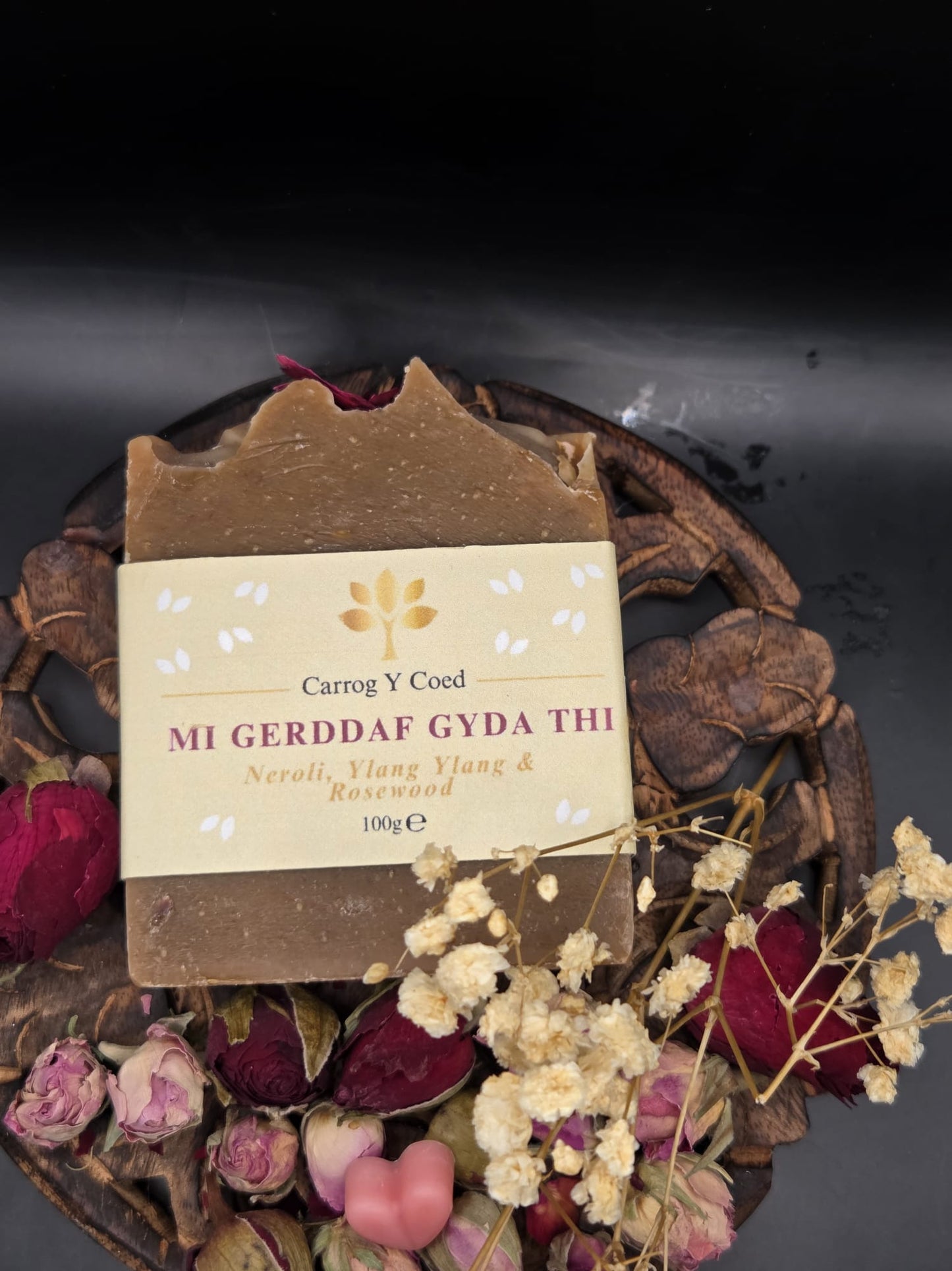 Soap - Mi Gerddaf Gyda Thi