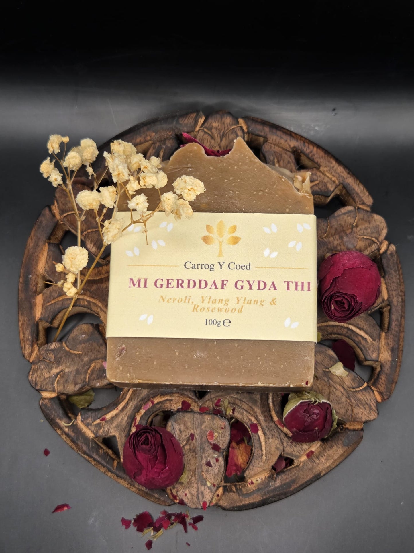 Soap - Mi Gerddaf Gyda Thi