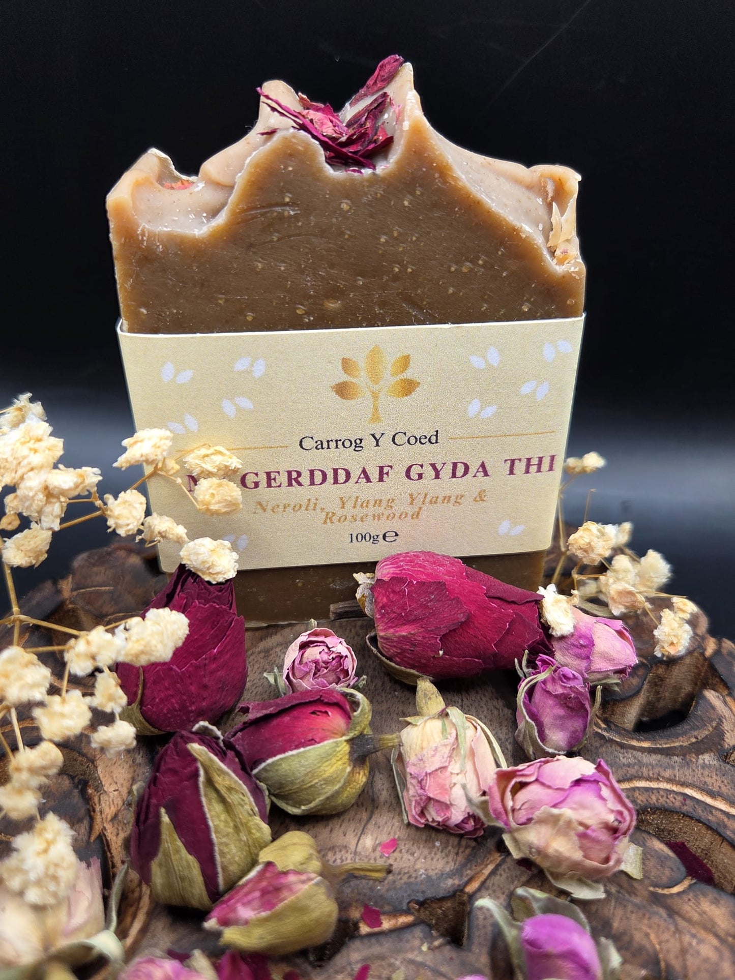 Soap - Mi Gerddaf Gyda Thi