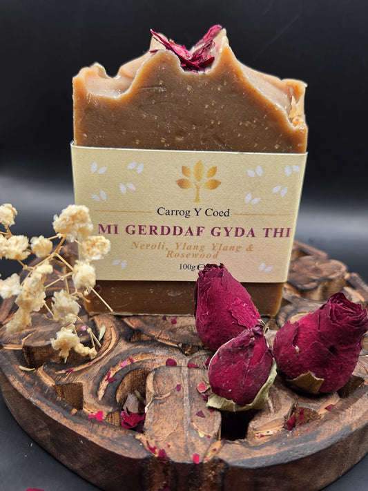 Soap - Mi Gerddaf Gyda Thi